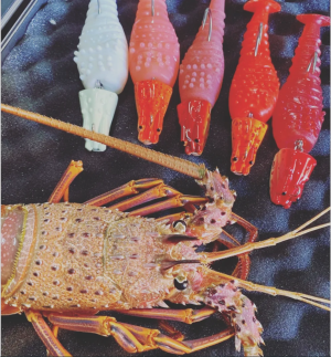 46_IMG_20210901_185528_959