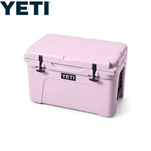 YETI DAYTRIP INSULATED LUNCH BOX - LIMITED EDITION Thumbnail