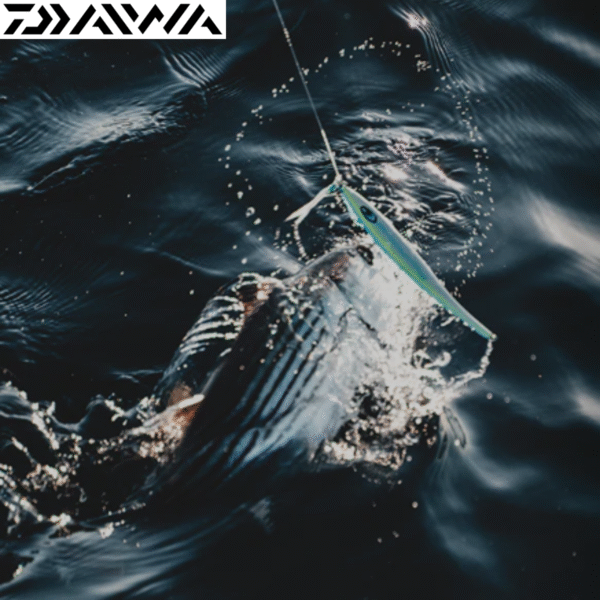 DAIWA 25 SALTIST SD Thumbnail